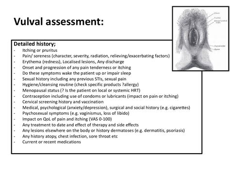 Benign Disorders Of The Vulva Pruritus Itchy Vulva Vulval Skin And…