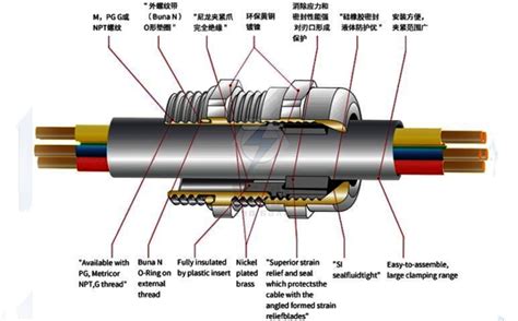 不锈钢防爆电缆密封接头 316金属黄铜镀镍电缆接头 防爆电缆夹紧密封接头厂家 佐观电气