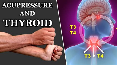 Cure Thyroid Problem Permanently In 2 Acupressure Point Nature Cure