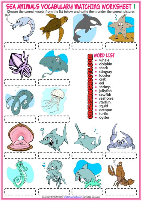 Sea Animals Worksheets For Kindergarten