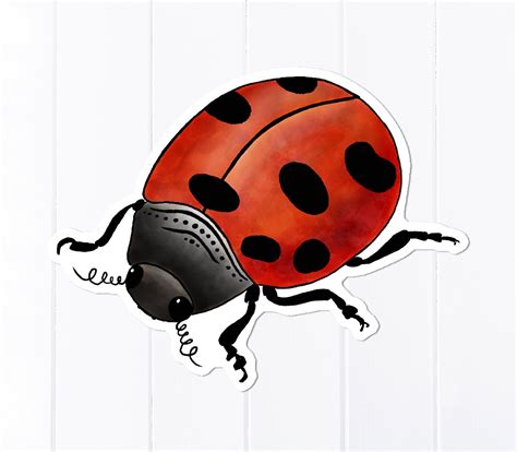 Ladybug Sticker New York State Insect Sticker Waterproof | Etsy