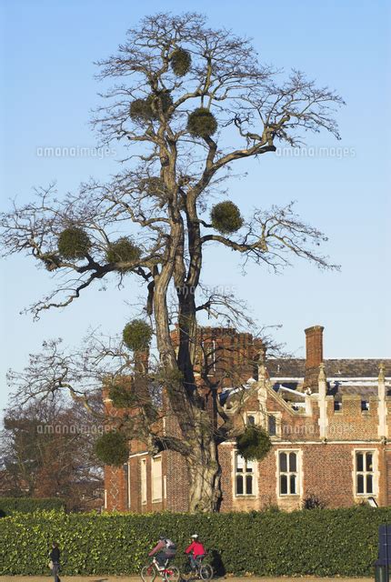 England London Surrey Hampton Court Seen From Across River Thames