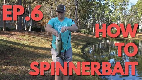 How To Fish Spinnerbaits How To Bass Fish Ep Youtube