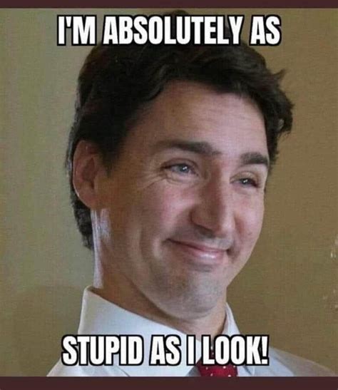 Stupid Look As Stupid Does Turdeau 😀😃😄😁😆😅😂🤣😛😝😜🤪🤨😈🇨🇦 Superdavebeast