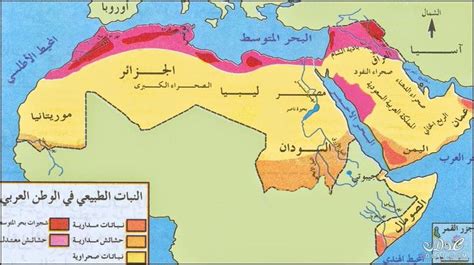 خريطة الوطن العربي الجديدة ملونة وصماء صور متعدده لخرائط الوطن العربي School Science