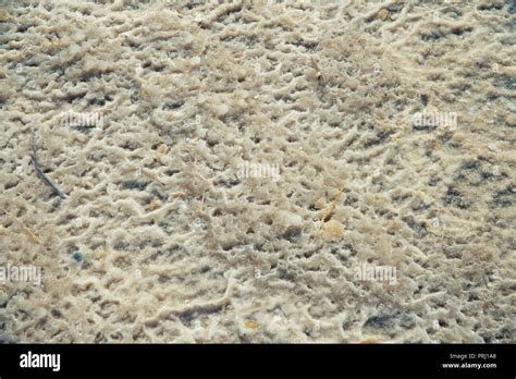 Dead Sea in Israel Stock Photo - Alamy