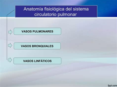 Circulación Pulmonar edema pulmonar y líquido pleural Guyton PPT