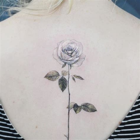 A white rose#tattoo#flower#flowerart#flowertattoo#colortattoo#타투#꽃#꽃타투 ...