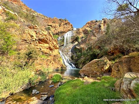 11 Things To Do At Walter Sisulu Botanical Garden