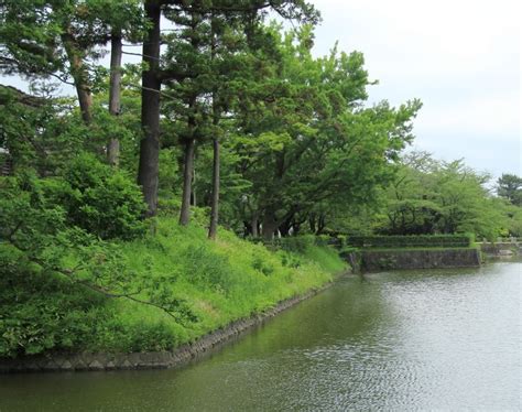 鶴ヶ岡城（大宝寺城）／アクセス・場所・地図 戊辰戦争では新政府軍に連戦連勝した庄内藩（譜代大名酒井氏）の居城 鶴ヶ岡城【お城特集 日本の歴史