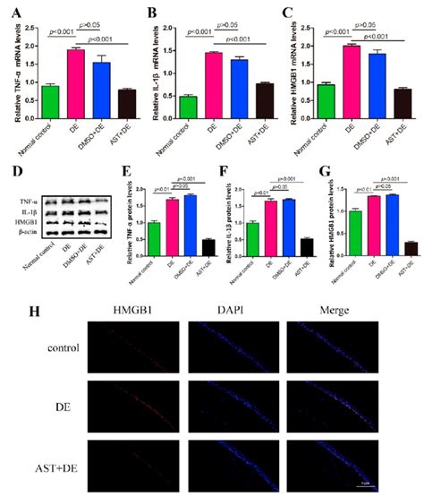 Ac Mrna Expression Of Tnf Il And Hmgb Dg Protein