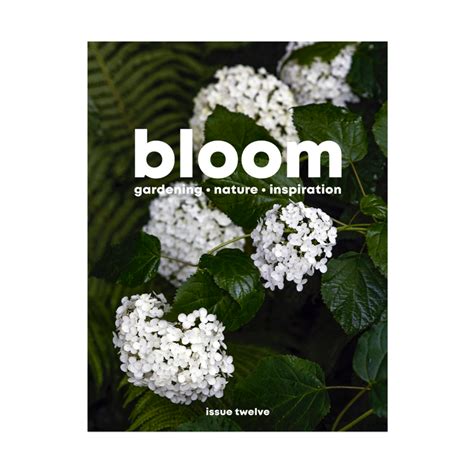 Bloom Magazine Issue 12 London Terrariums