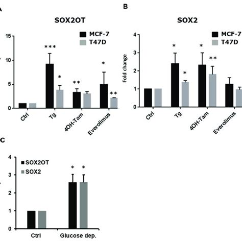 Expression Of SOX2OT And SOX2 Following UPR Induction In ER Breast