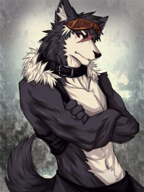 Anthro Wolf Male