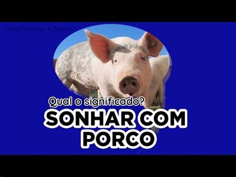 Sonhar Carne De Porco Frito Jogo Do Bicho JOGO DO BICHO