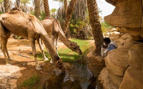 La Grande Traversée de l Adrar Voyage Mauritanie Atalante