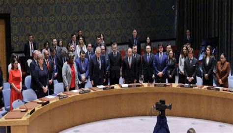 Pakistan Welcomes UNSC Resolution Demanding Ceasefire In Gaza