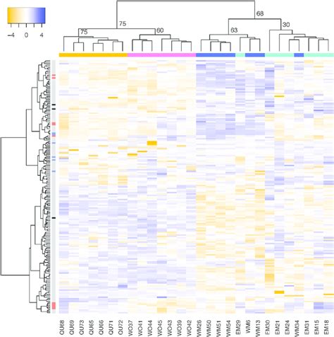 Heat Map Representing Hierarchical Clustering Of Normalized Counts For Download Scientific