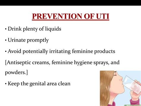 Urinary Tract Infection During Pregnancy Ppt