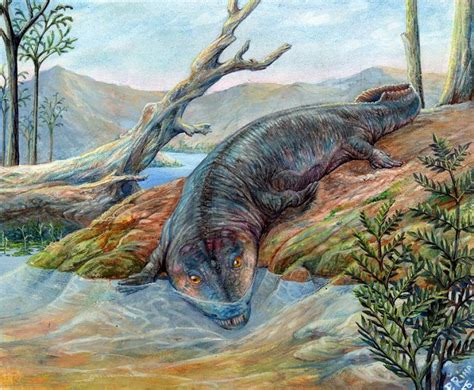 Кто такие стегоцефалы, дайте точное определение!!!? | Ответы Mail