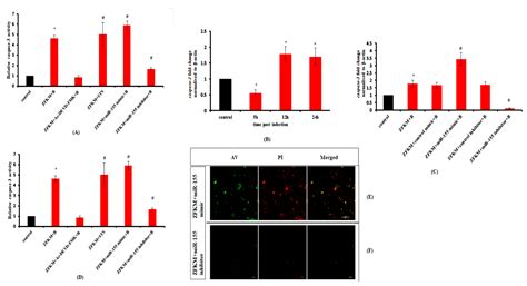 Microbiology Research Free Full Text Mir 155 Induced Activation Of