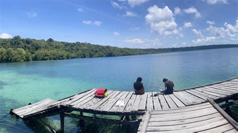 Hanya Ada Di Dunia Simak Keunikan Wisata Alam Danau Kakaban Di Kaltim