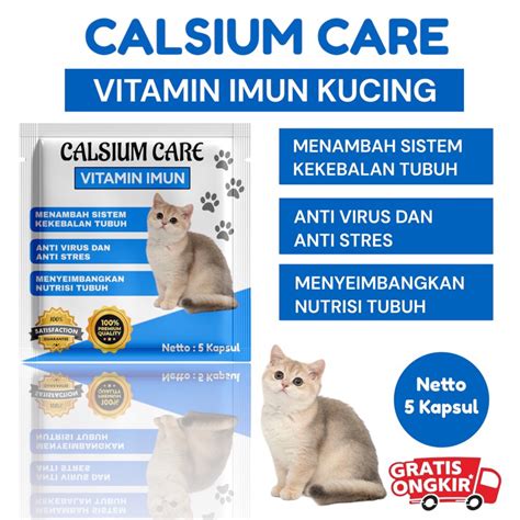 Jual Calsium Care VITAMIN IMUN KUCING Menambah Sistem Kekebatan Tubuh