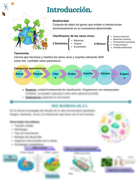 Solution Introducci N A La Microbiolog A Y Parasitolog A M Dicas