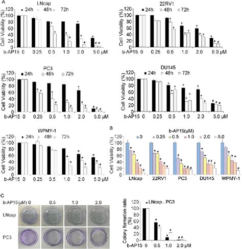 Figure From A Novel Deubiquitinase Inhibitor B Ap Triggers