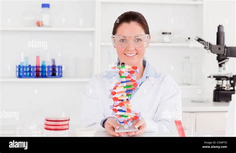 Double helix structure model hi-res stock photography and images - Alamy