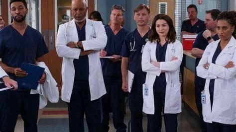 As 19 Temporadas De Greys Anatomy Resumidas