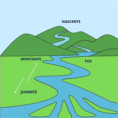 O Que É Um Montante - Montante e jusante | Curso de um rio, Atividades partes de um rio para ...