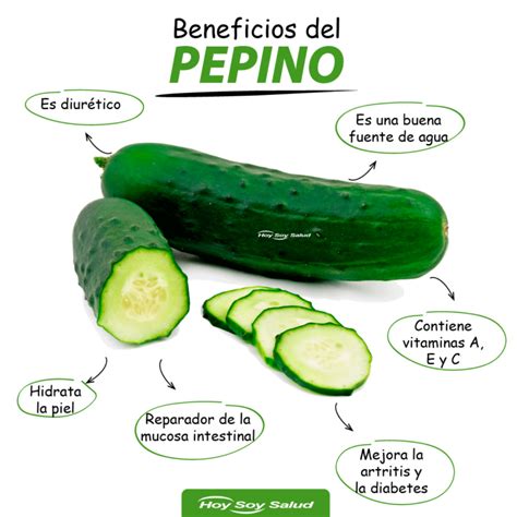 Beneficios De Comer Pepino Hoysoy Net