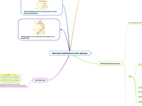 Meiosis Reproduccion Sexual Mind Map