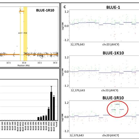 TaqMan Assays Used For Gene Expression And Copy Number Variation CNV