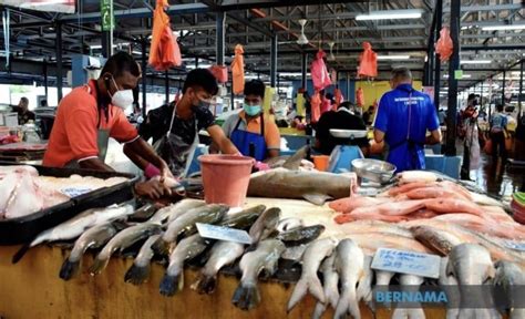 Bekalan Ikan Negara Mencukupi Utusan Borneo Online