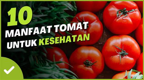 10 Manfaat Tomat Untuk Kesehatan Tubuh Youtube