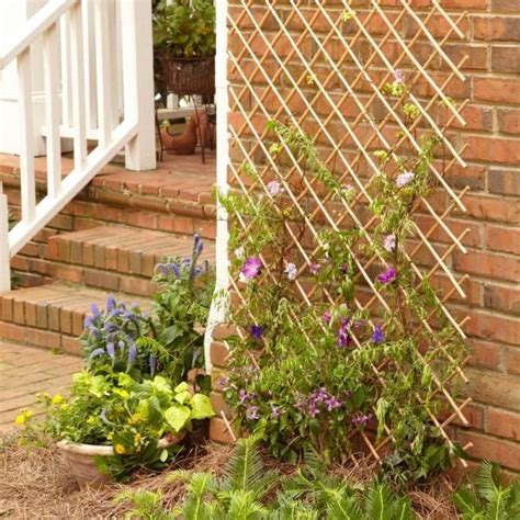 Hampton Bay In H X In L Willow Expandable Fence Or Trellis