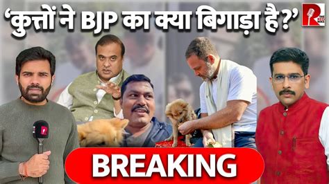 ‘कुत्तों ने Bjp का क्या बिगाड़ा है Youtube