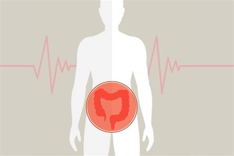 Enfermedad de Crohn que es síntomas y tratamiento Maestria Salud