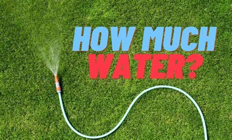 How Many GPH Does A Typical Garden Hose Fill Expert Answers