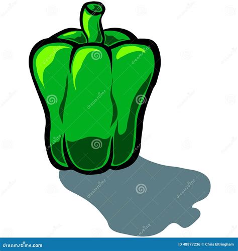 Pimiento Ilustraciones Stock Vectores Y Clipart 9123