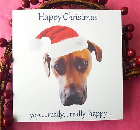 Funny Dog Christmas Card Quotes - ShortQuotes.cc