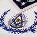 Past Master With Embroidered Border Masonic Lambskin Etsy