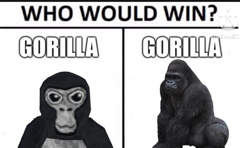 Who would win? : r/GorillaTag