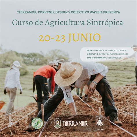 Curso De Agricultura Sintrópica Tierramor