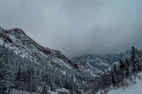 Foto De Alto Ngulo De Uma Floresta De Abetos Nas Montanhas Nevadas Sob