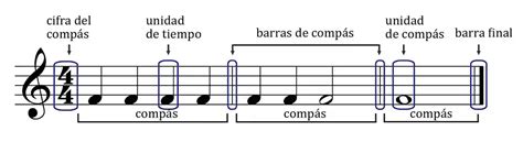 Descubre El Compás y Las Líneas Divisorias en Música