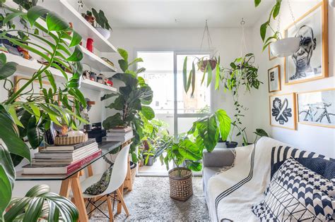 Muitas plantas em um apartamento pequeno decoração