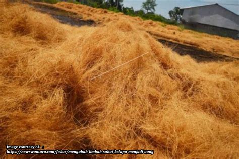 Serat Kelapa Sawit Fiber Samudera Sawit Subur